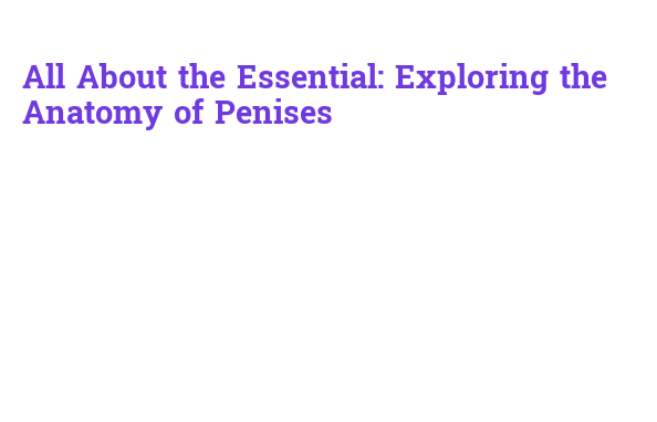 All About the Essential: Exploring the Anatomy of Penises – Government